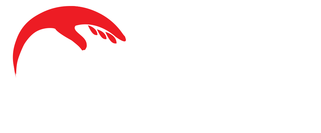 logo-img